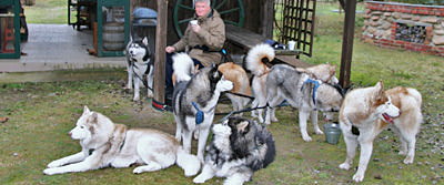 startseite-huskys.jpg