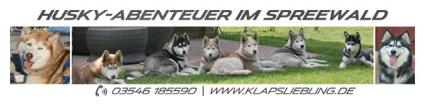 husky-abenteuer-im-spreewald.jpg