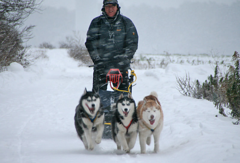 husky-touren-2.jpg