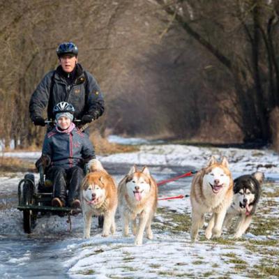 Husky-Touren Februar 2017