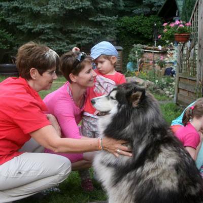 Huskytouren mit unseren Urlaubern Frühjahr Sommer 2016